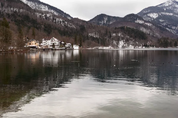 Nublado Día Invierno Lago Kochelsee Baviera — Foto de Stock