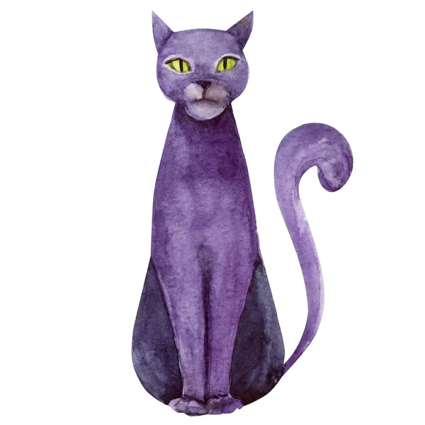 Aquarel Illustratie Van Zwart Violet Halloween Zittend Kat Met Gekruld — Stockfoto