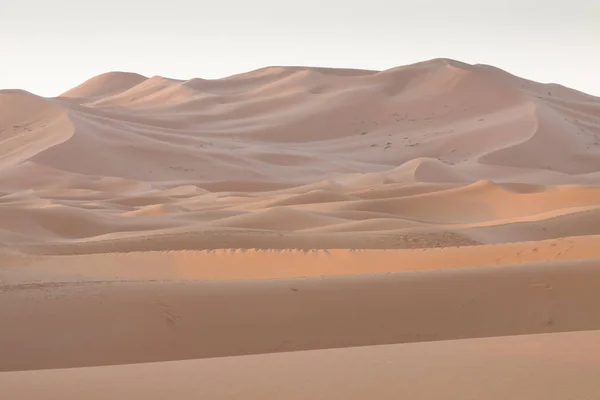 Marokko, Merzouga, erg Chebbi duinen bij zonsopgang — Stockfoto