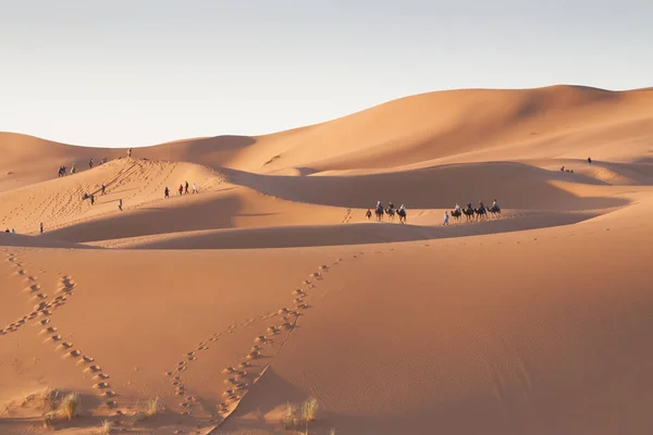 Marokko, Merzouga, erg Chebbi duinen bij zonsopgang — Stockfoto