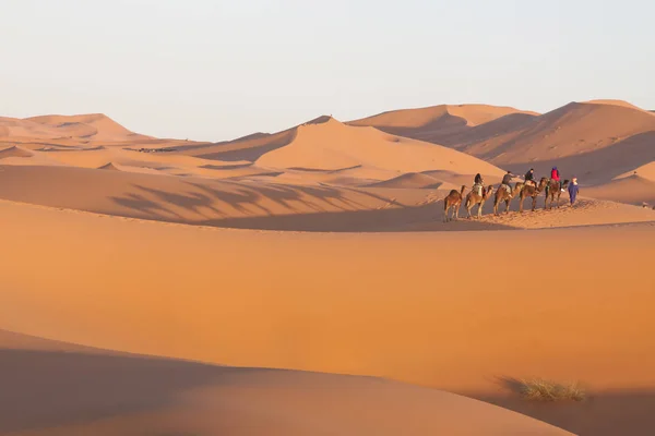 Marokko, Merzouga, erg Chebbi duinen, toeristen rijden kamelen — Stockfoto