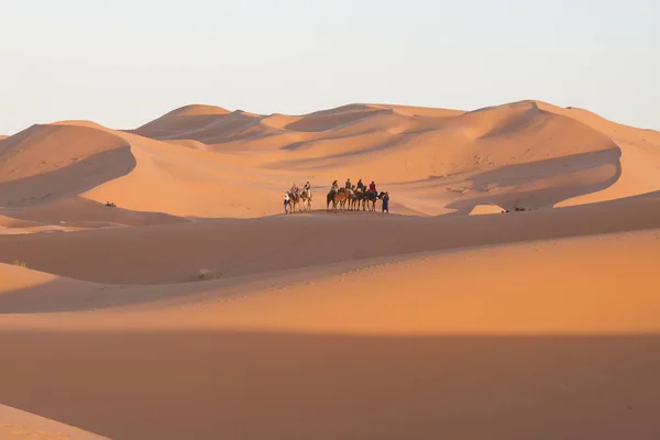 Marokko, Merzouga, erg Chebbi duinen, toeristen rijden kamelen — Stockfoto