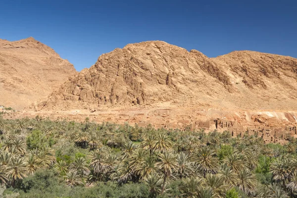 Fas, Ait Ijjou Tinghir, Oasis, Hurma Bahçesi, Mountai tarafından — Stok fotoğraf