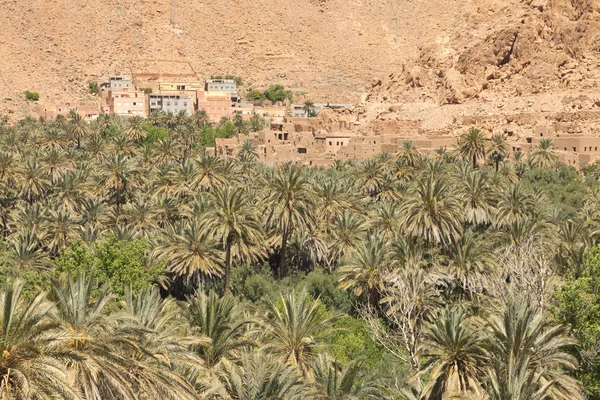 Marrocos, Ait Ijjou por Tinghir, Oasis, Date Palm Orchard, Mountai — Fotografia de Stock