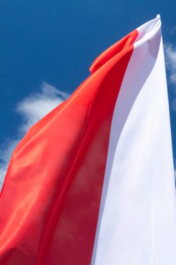  Rüzgarda dalgalanan çoklu Polonya bayrakları, güneş ışığı,