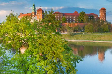 Polonya, Krakow, Wawel Kalesi, öğleden sonra ışığı, ilkbahar