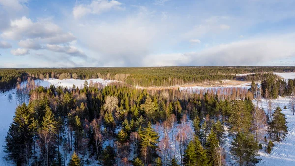 Snö Marken Men Inte Mycket Träden — Stockfoto