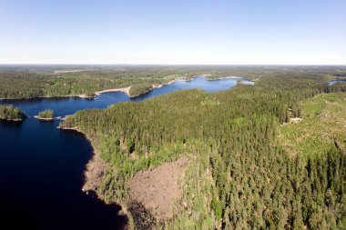 Göl manzaralı ormanlık bir manzara