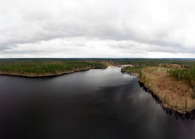 Göl manzaralı ormanlık bir manzara