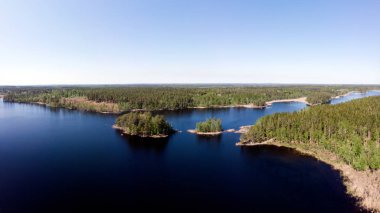 Göl manzaralı ormanlık bir manzara