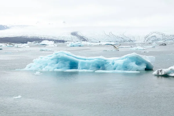 Vatnajokull ヨーロッパ最大の氷河から来る手配氷河ラグーンの氷山 — ストック写真