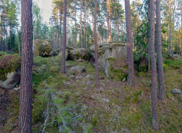 Paisaje Forestal Con Grandes Rocas — Foto de Stock