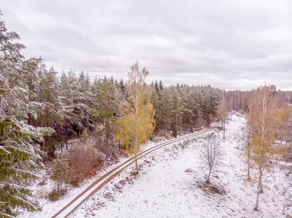 Čerstvý Sníh Zemi Stromech Tento První Den Zimy — Stock fotografie