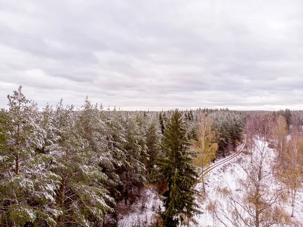 Verse Sneeuw Grond Bomen Deze Eerste Winterdag — Stockfoto