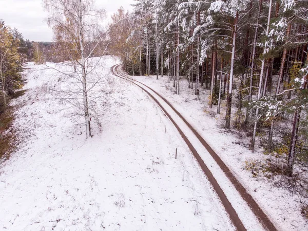 Neige Fraîche Sol Dans Les Arbres Premier Jour Hiver — Photo