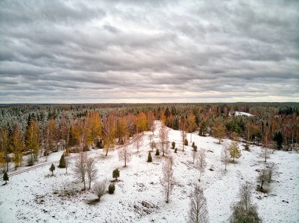 Première Neige Dans Paysage Partiellement Enneigé — Photo