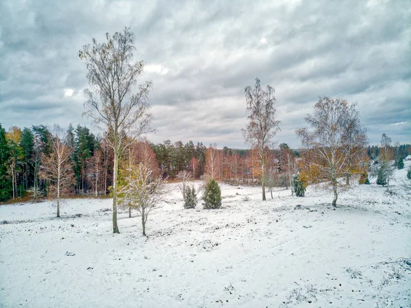 Erster Schnee Einer Teilweise Verschneiten Landschaft — Stockfoto