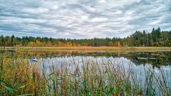 Leaves Turning Yellow Red Landscape Royalty Free Stock Photos