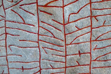 Rok Runestone bir tür biridir