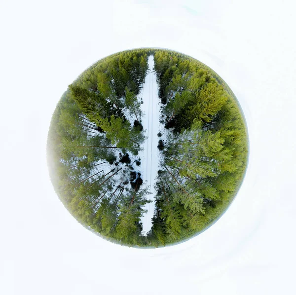 球体中的常绿森林 冬季景观 — 图库照片