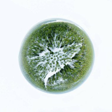 Herdem yeşil orman bir küre panorama kış peyzaj