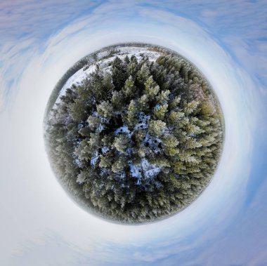 Bir kış orman Sperical Panoraması