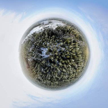 Bir kış orman Sperical Panoraması