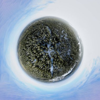 Bir kış orman Sperical Panoraması