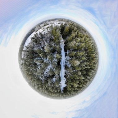 Bir kış orman Sperical Panoraması