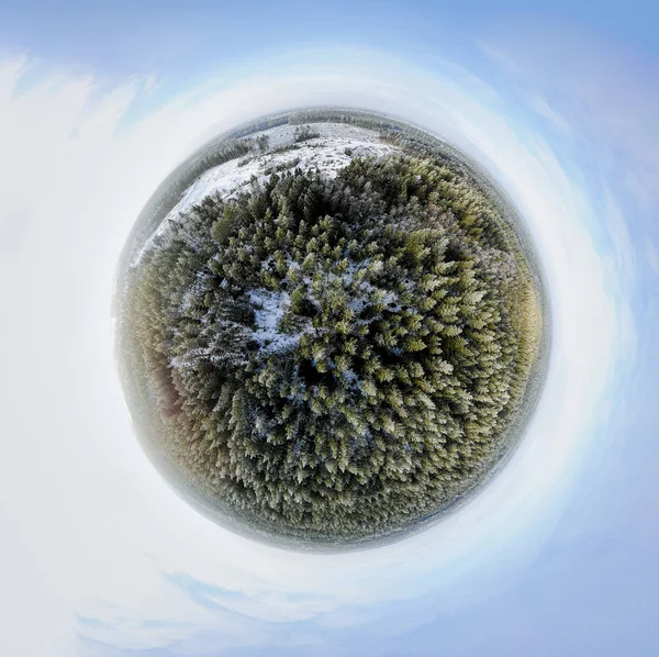 Panorama Espermático Bosque Invierno — Foto de Stock