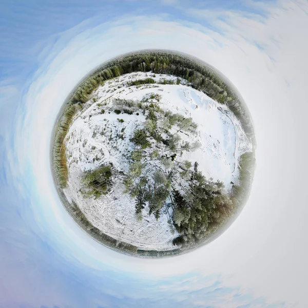 Bir kış orman Sperical Panoraması