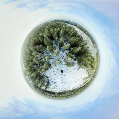 Bir kış orman Sperical Panoraması