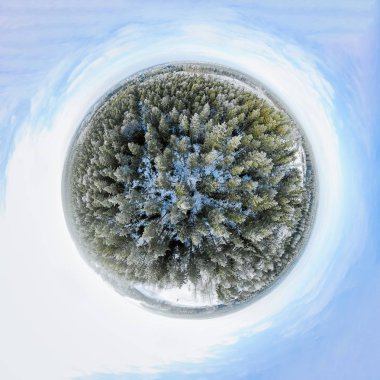 Bir kış orman Sperical Panoraması