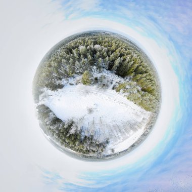 Bir kış orman Sperical Panoraması