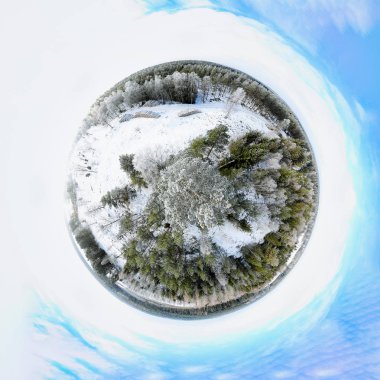 Bir kış orman Sperical Panoraması