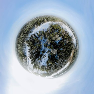 Bir kış orman Sperical Panoraması