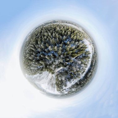 Bir kış orman Sperical Panoraması