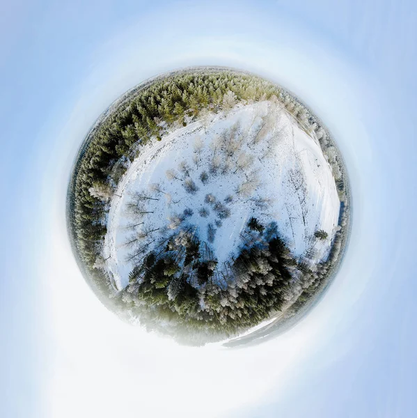 Panorama Sperimentale Una Foresta Invernale — Foto Stock