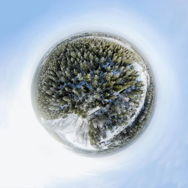 Panorama Sperimentale Una Foresta Invernale — Foto Stock