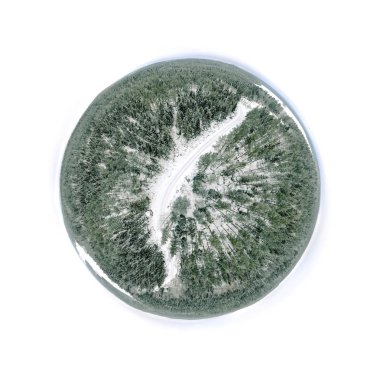 Bir kış woodland küresel panorama