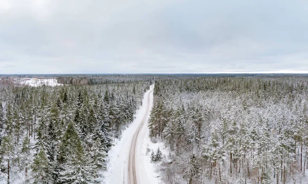 Zalesněná Krajina Během Chladné Sezóny — Stock fotografie