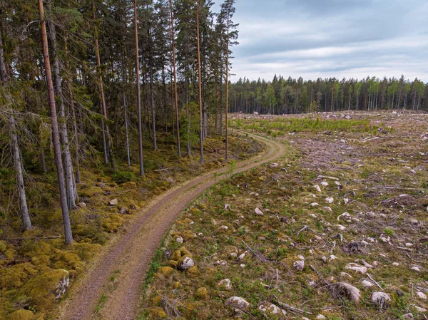 Bosque paisaje — Foto de Stock