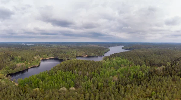 Bosque paisaje — Foto de Stock