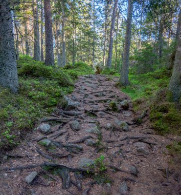 Tiveden Ulusal Parkı
