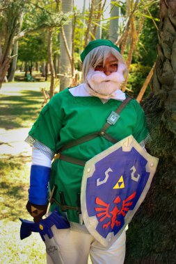 Zelda bağlantı yaşlı efsanesi