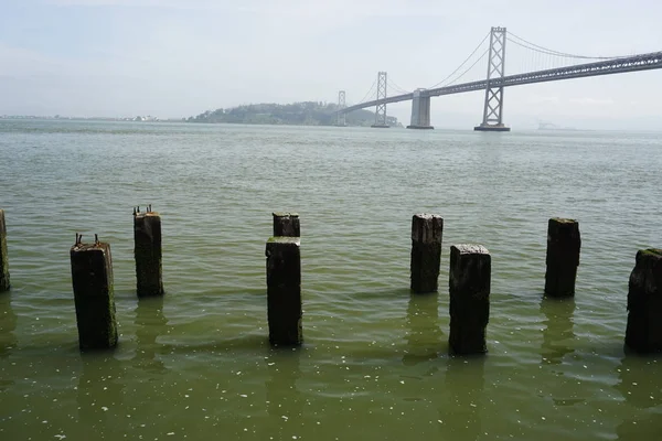 San Francisco bir köprü