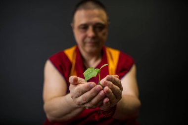 Kırmızı kesa 'lı Budist keşiş. Elinde yeşil bir bitki tutan bir keşiş.