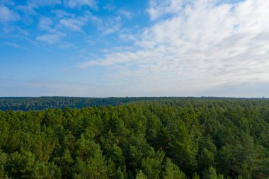 Gökyüzüne karşı uzanan manzara ormanı bir kuadkopterden çekildi.