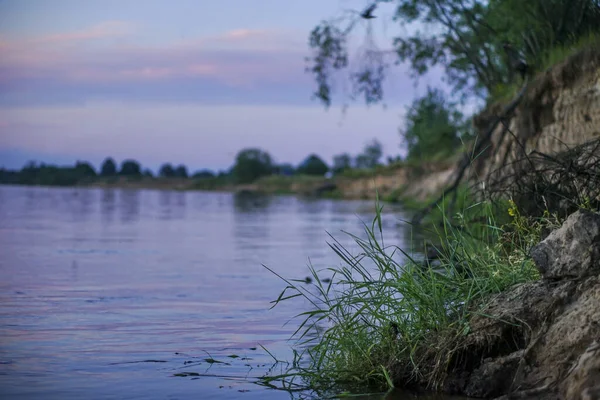 Nyári Naplemente Egy Nagy Folyó Partján — Stock Fotó