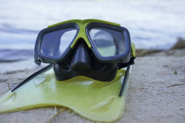 Palet ve maske kıyıda yatıyor.